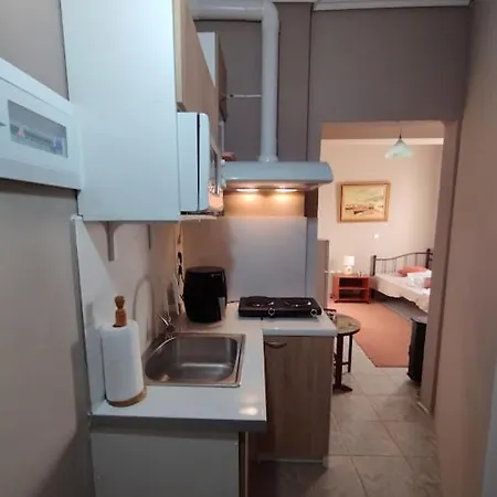 Elenas Apartment Paralia Avlidhos
